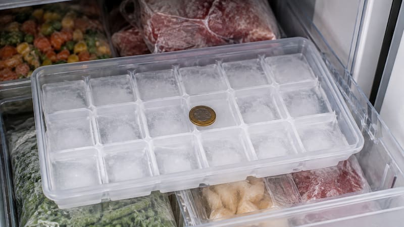 El truco de la moneda en el freezer puede salvarte de consumir alimentos en mal estado. (Fuente: creada con IA)