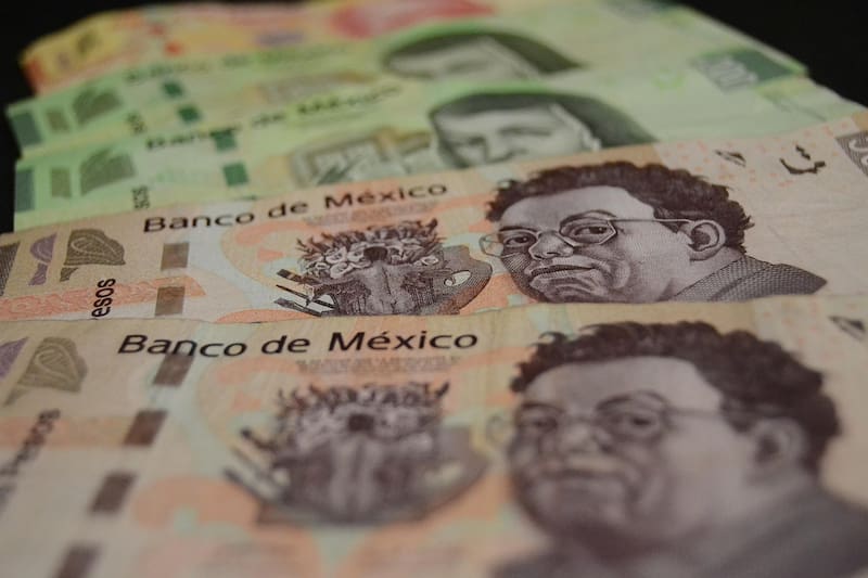 La cotización de las principales divisas en México (foto: Pixabay).