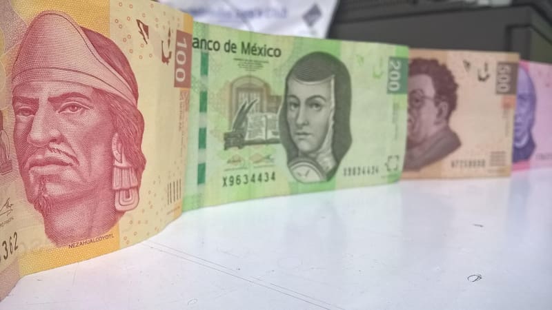 La cotización de las principales divisas en México (foto: Pixabay).