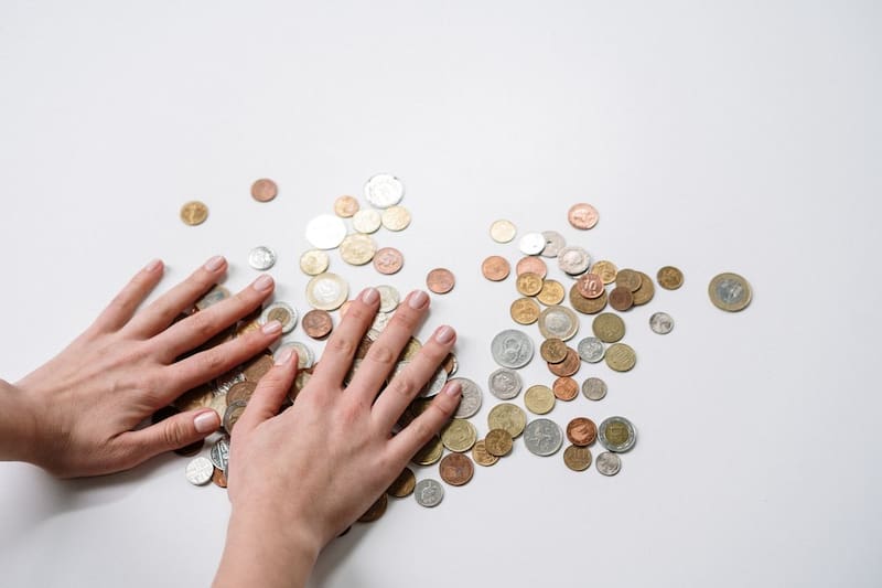 La cotización del Euro y dólar (foto: Pexels).