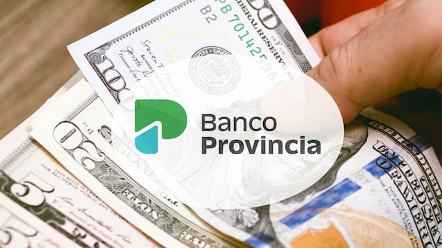 Banco Provincia lanza bonos en dólares y pesos a un año: cuándo es la licitación, cómo invertir y qué tasa se espera