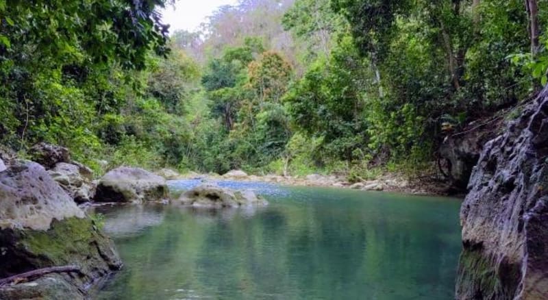 El río Jordán forma piscinas naturales de agua cristalina en medio de una serranía verde y espesa.