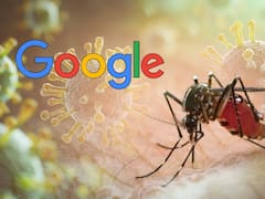 Google anunció un nuevo plan para eliminar los mosquitos y el dengue para siempre