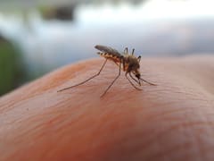 Ministerio de Salud Pública recomienda uso de repelente tras viajes a zonas con dengue y alerta sobre sus posibles síntomas