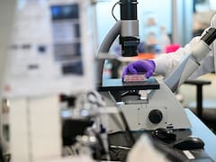 Una farmacéutica global invirtió u$s 67,7 millones en la Argentina y ya trabaja en más de 110 protocolos