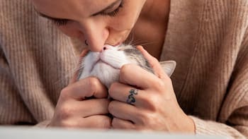 ¿Los gatos nos aman? La ciencia parece haber encontrado la respuesta definitiva