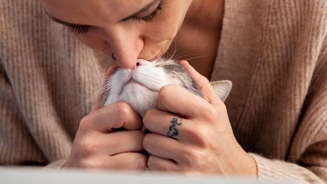 ¿Los gatos nos aman? La ciencia parece haber encontrado la respuesta definitiva