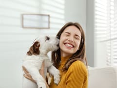 Confirmado por la Ley de Propiedad Horizontal | ¿Tu perro ladra mucho? Esto es lo que podría pasar si el ruido molesta a tus vecinos