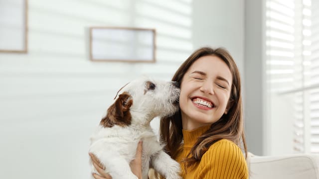 Confirmado por la Ley de Propiedad Horizontal | ¿Tu perro ladra mucho? Esto es lo que podría pasar si el ruido molesta a tus vecinos