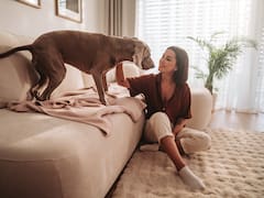 Adrián Conde, veterinario: “La forma de los perros de decir ‘me duele’ es…"