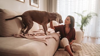 Adrián Conde, veterinario: “La forma de los perros de decir ‘me duele’ es…"