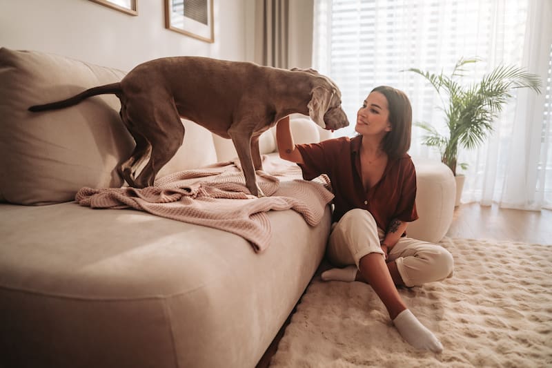 El reloj epigenético, basado en cambios químicos del ADN, permitió comparar el envejecimiento de perros y humanos a nivel molecular y desarrollar una nueva fórmula científica. Fuente: Shutterstock.