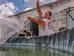Nuevo calendario de pesca y vedas | Conapesca actualizó las fechas y reglas para pescar desde y noviembre