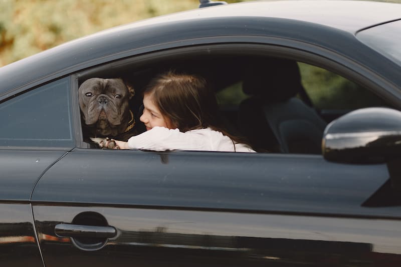 El Reglamento de Tránsito prohíbe transportar mascotas en vehículo entre piernas y brazos. Deben ser cargados de forma segura.