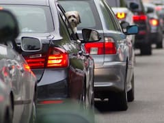 Atención conductores | El Gobierno pondrá fuertes multas a conductores que no cedan el paso a estos vehículos