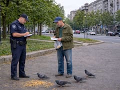 Nueva regla urbana: la Justicia confirmó sanciones inmediatas para quienes alimenten a estos animales en ciertas zonas de la ciudad