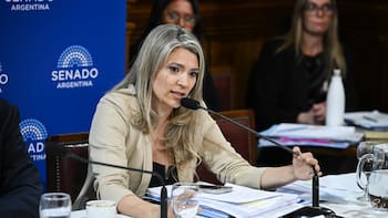 La mano derecha de Karina en Senado describe los cambios en Sociedades y Súper RIGI: “No cometamos el error...”
