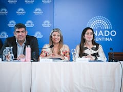 Internaciones, Justicia y riesgo: qué cambia con la nueva reforma que ya avanza en el Senado