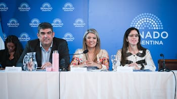 Internaciones, Justicia y riesgo: qué cambia con la nueva reforma que ya avanza en el Senado
