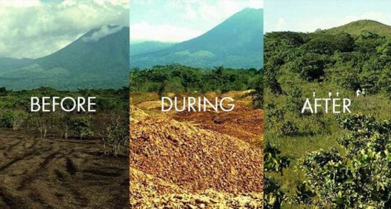 El paisaje cambió de manera tan profunda que incluso costó identificar el lugar donde se había realizado la prueba (Fuente: Universidad de Princeton).