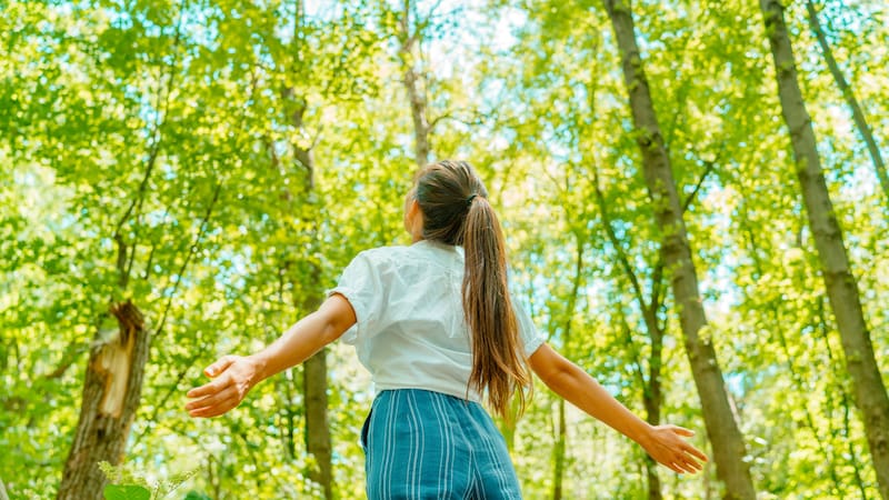 Voluntariado en Buenos Aires: el refugio natural que ofrece alojamiento, comida y actividades sustentables a cambio de 20 horas de trabajo semanal.