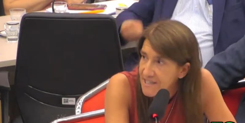 ;María Angeles Naveyra, durante su exposición en la reunión conjunta de Legislación del Trabajo y Presupuesto y Hacienda