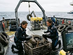 En 1972, una organización arrojó 2 millones de neumáticos en el medio del mar. 50 años después, los científicos analizaron el fondo del océano y quedaron helados