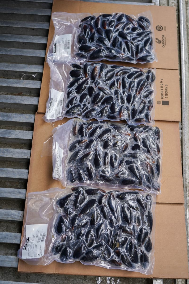 El año pasado Newsan había comenzado a exportar mejillones