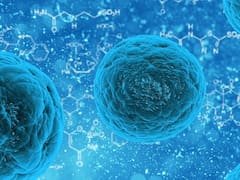 Hallan la fuente de la vida: está en el agua, contiene energía y podría curar cientos de enfermedades