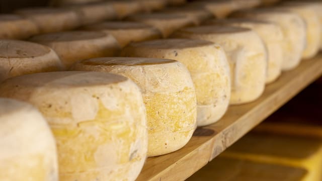 Ni Villa de Leyva, ni Barichara: turistas enloquecen con este pueblo de Boyacá donde producen el queso mas premiado de Colombia