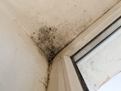 Ni bicarbonato ni vinagre: el método esencial para eliminar la humedad y el moho de las paredes