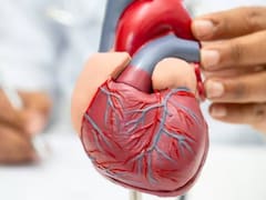 Ni caminar ni andar en bicicleta: el ejercicio ideal para fortalecer el corazón y mejorar la circulación sanguínea
