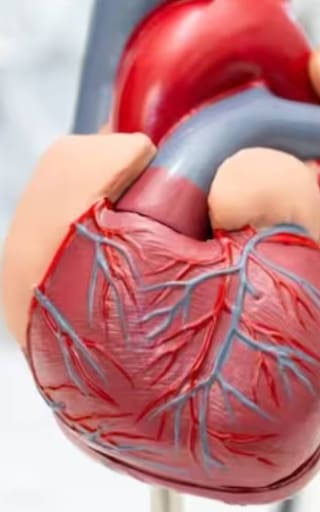 Ni caminar ni andar en bicicleta: el ejercicio ideal para fortalecer el corazón y mejorar la circulación sanguínea