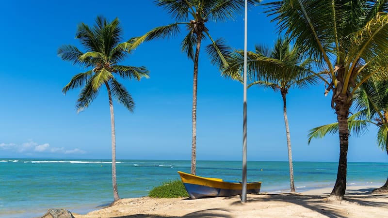 Ni Cancún ni Punta Cana: el paraíso del Caribe con agua turquesa, playas soñadas que no tienen sargazo y que eligen los argentinos
Fuente: Shutterstock