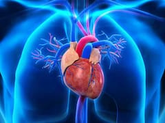 Mejor que caminar, ir al gimnasio y montar en bicicleta: el ejercicio definitivo para proteger el corazón y favorecer la circulación