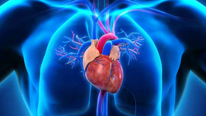 Ni correr ni caminata rápida: el ejercicio que mejora la capacidad pulmonar, cuida el corazón y ayuda a la circulación