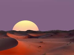 El Sáhara llegó a 70 °C, murieron miles de millones de árboles y una técnica evitó la extinción definitiva en el desierto