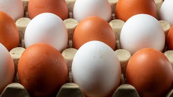 Ni frito ni revuelto: la forma correcta de cocinar el huevo para aprovechar al máximo todas sus proteínas