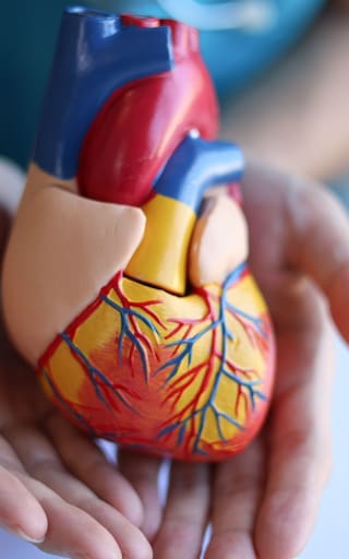 Ni caminata, ni gimnasio, ni bicicleta fija | El ejercicio ideal para cuidar el corazón y mejorar la circulación