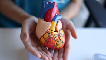 Ni caminata, ni bicicleta, ni gimnasio: el ejercicio clave para cuidar el corazón y mejorar la circulación