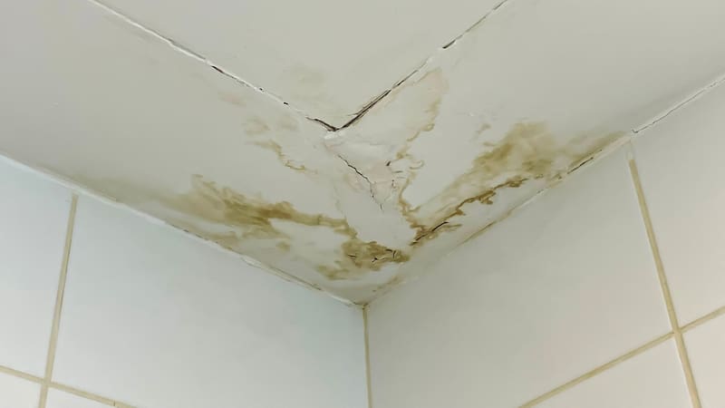 Ni lavandina ni bicarbonato | Cómo eliminar las manchas de humedad del baño y dejar las paredes como nuevas y sin gastar plata
Fuente: Shutterstock