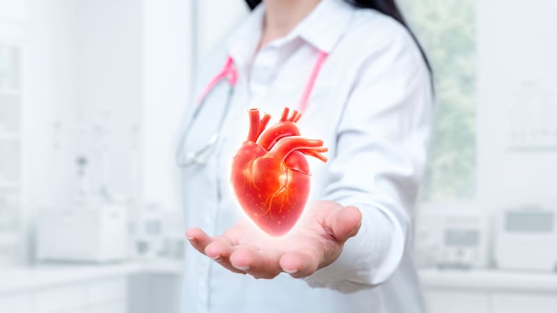 Ni nueces ni almendras | El súper alimento que cuida el corazón, mejora la circulación y protege el cerebro: se come crudo y es fácil de conseguir
Fuente: Shutterstock