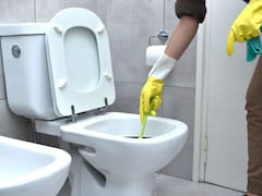 Ni vinagre ni bicarbonato: el truco de limpieza más efectivo para eliminar el sarro del inodoro