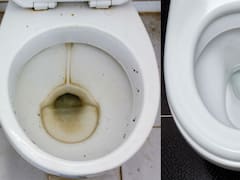 Ni lavandina ni bicarbonato | La mezcla casera de único ingrediente que elimina el sarro y el óxido del inodoro para siempre