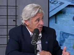 Nicolás Pino anticipó un “cosechón” de soja y explicó por qué se disparó el precio de la carne