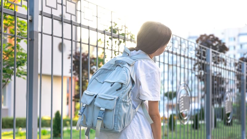 El calendario de la SEP también establece distintas jornadas de trabajo docente, sesiones del Consejo Técnico Escolar y periodos de suspensión de labores durante el ciclo.