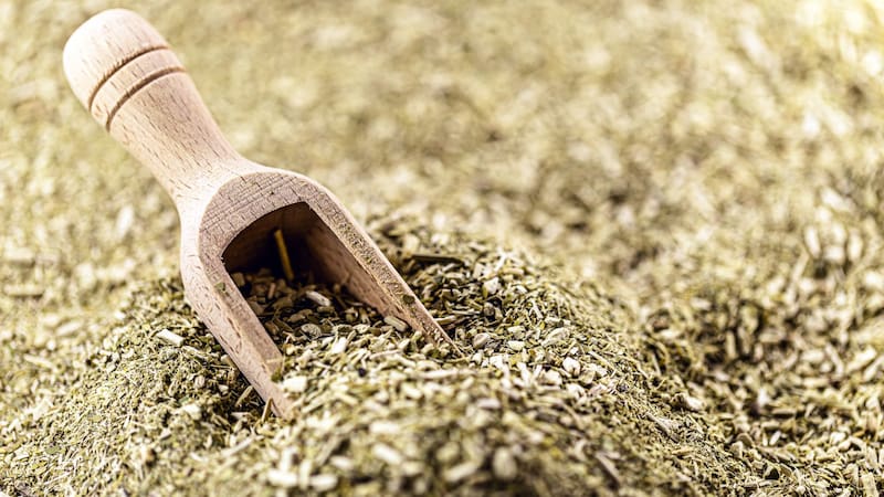 No es el té verde: la infusión perfecta para combatir el frío que es antioxidante, está repleta de vitaminas y ayuda a prevenir enfermedades cardíacas
Fuente: Shutterstock