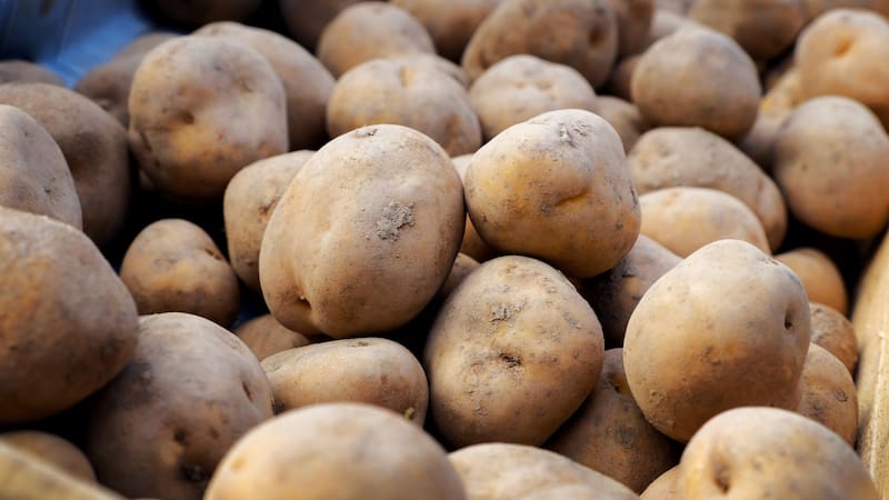 No es en la heladera: guardar las papas en este lugar evita que se pongan blandas y conserva su sabor por mucho más tiempo
Fuente: Shutterstock