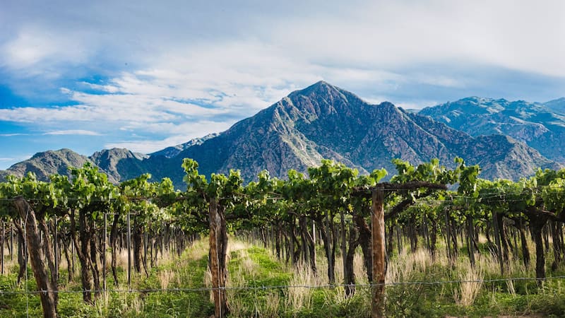 No es la 40 | Eligen la ruta más linda de Argentina: tiene paisajes montañosos y pueblitos muy pintorescos. Foto: Shutterstock