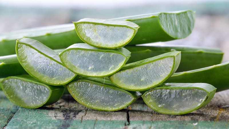 No es lenteja: la planta medicinal que “todo lo cura”, tiene 15 veces más hierro y la aman las madres. Imagen: archivo.